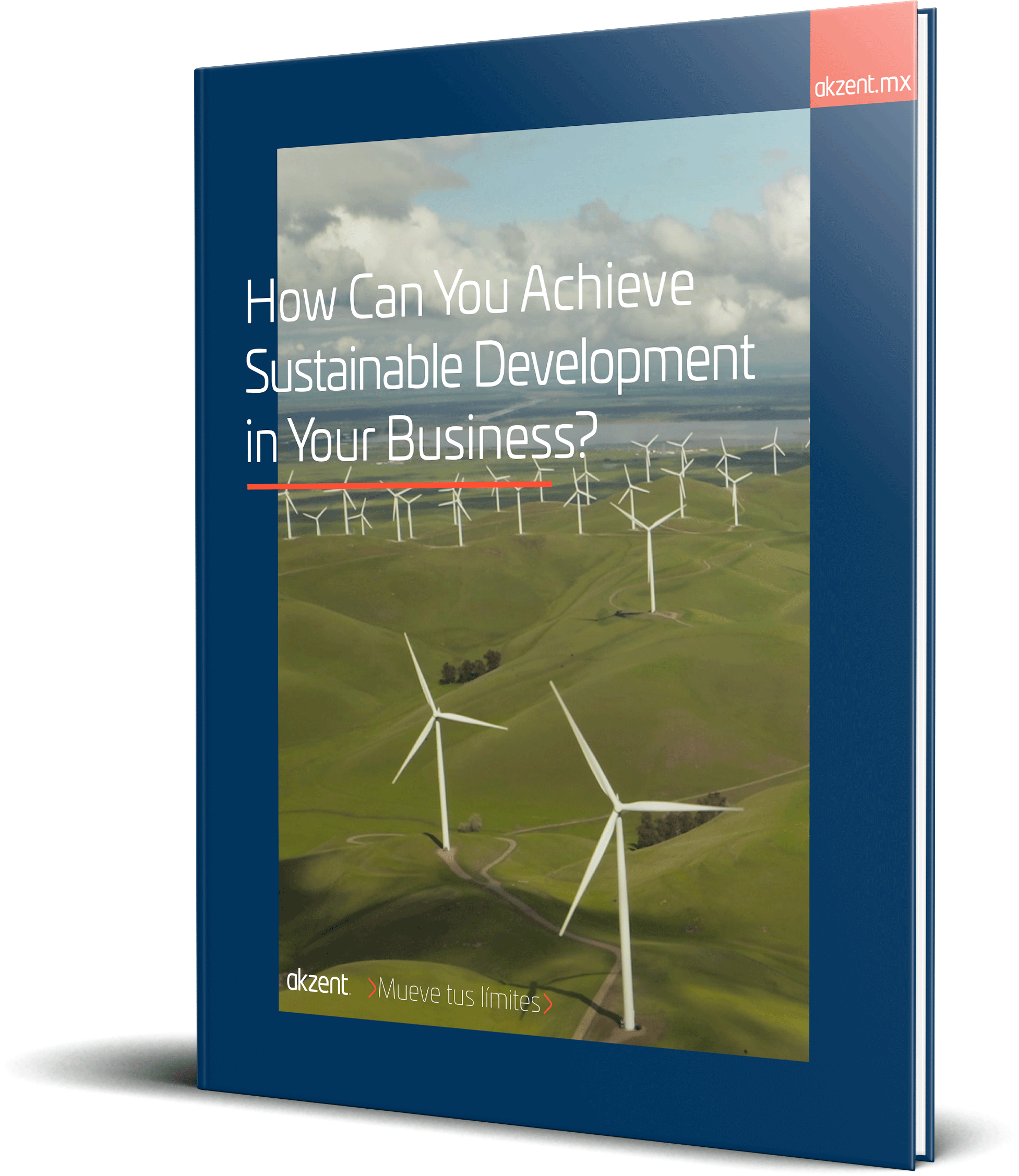 How-Can-You-Achieve-Sustainable-Development-in-Your-Business-_Mockup-eBook_Akzent