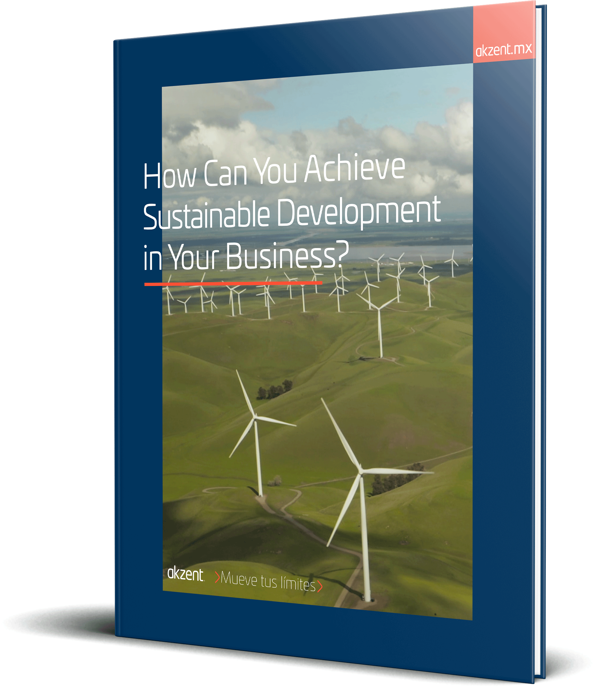 How-Can-You-Achieve-Sustainable-Development-in-Your-Business-_Mockup-eBook_Akzent How-Can-You-Achieve-Sustainable-Development-in-Your-Business-_Mockup-eBook_Akzent